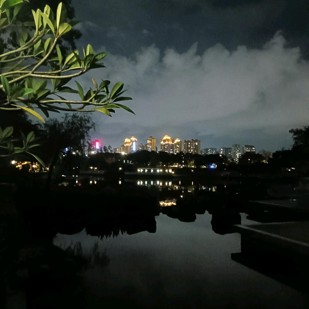 丽