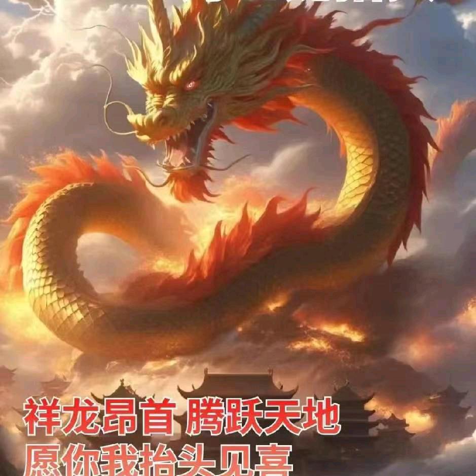 甲晨龙