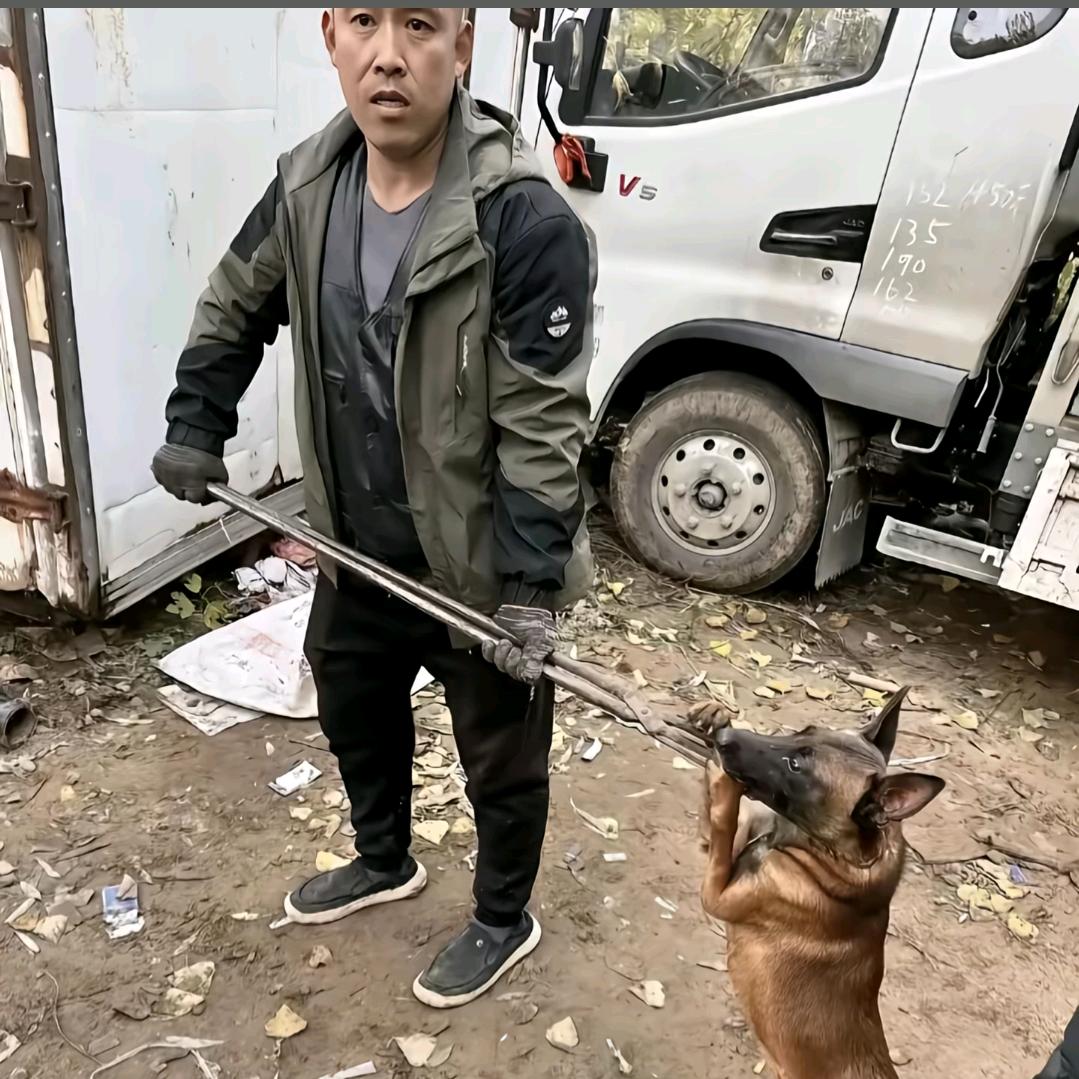 AAA专业套狗强师傅