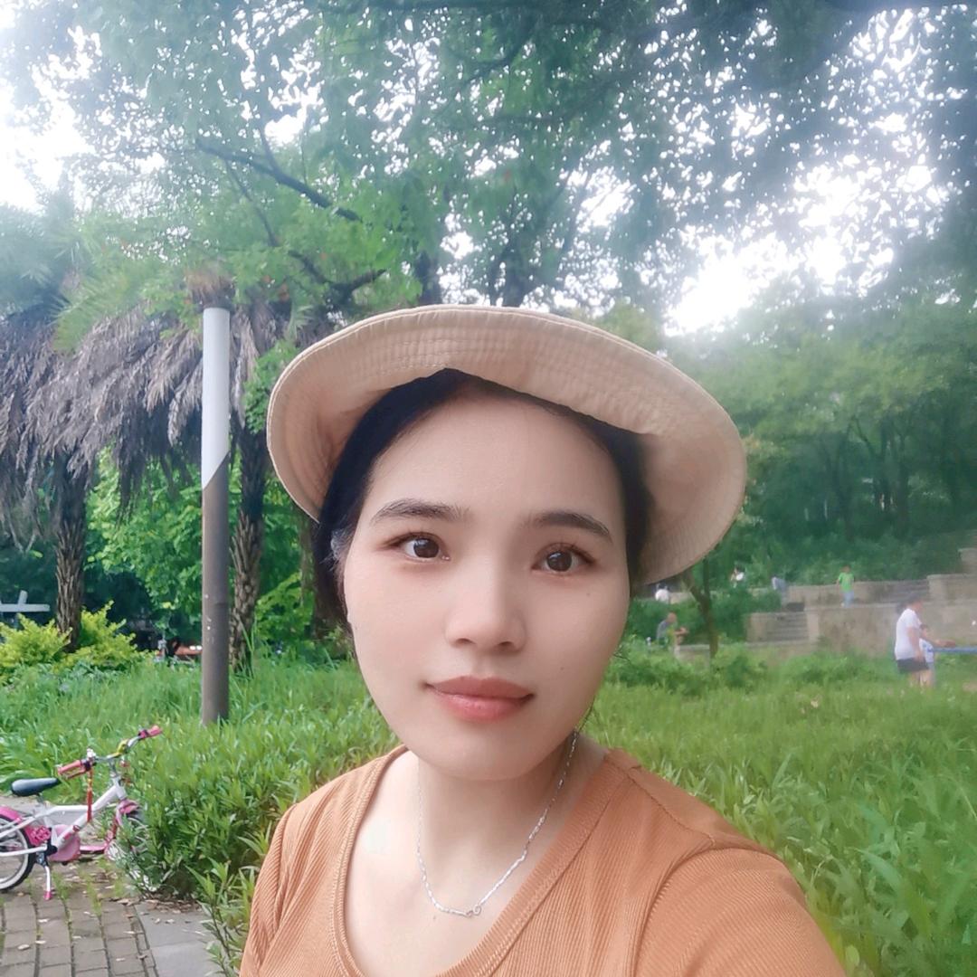 凤凤