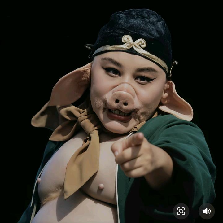 八戒带你游大同