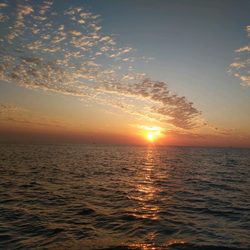 河南杰哥