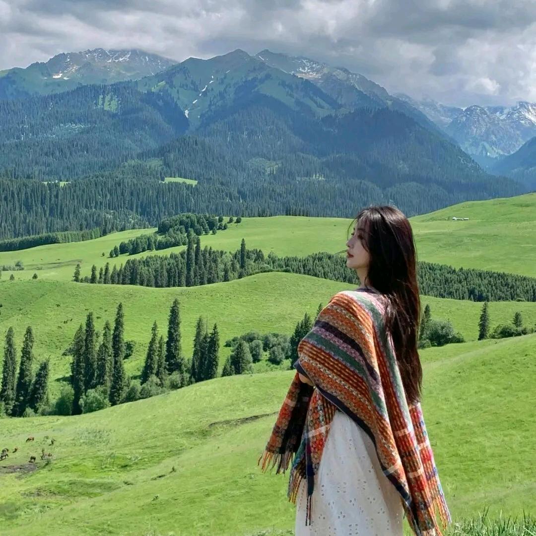 收藏家  （关必回）