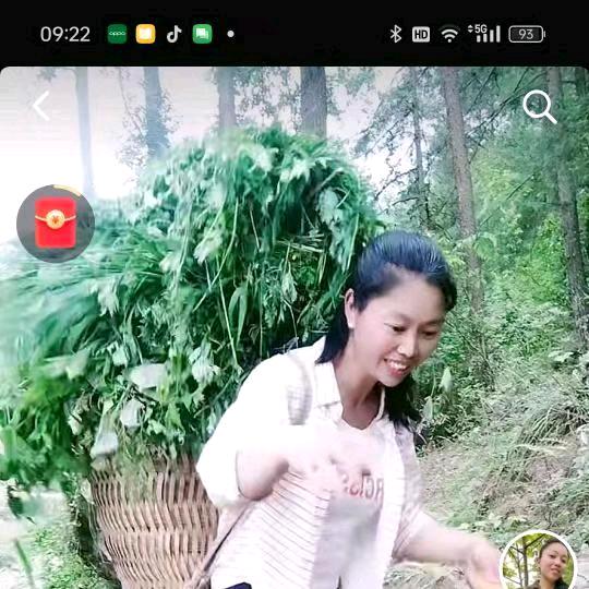 牧羊姐
