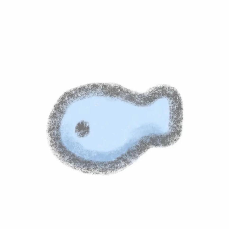 海鸥宝贝