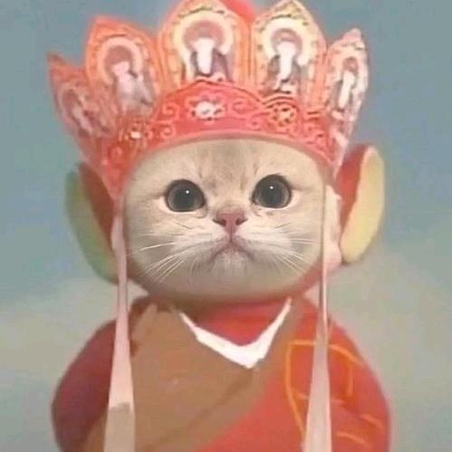 大唐穿越来的蚊子