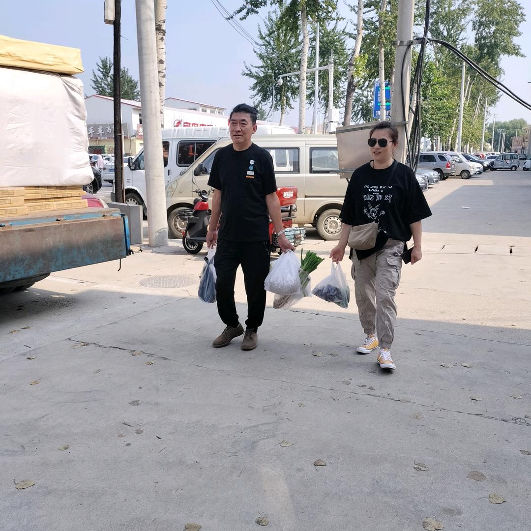河北绿植