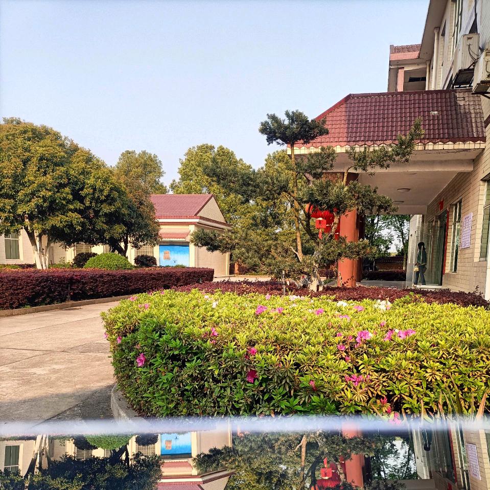 国昌🌹🌷🌸🌺🍎🍎🍎