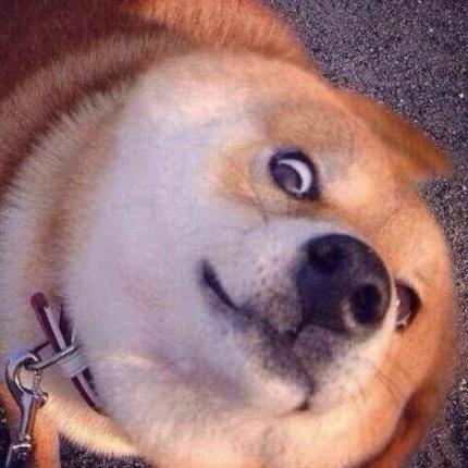 高中牲牌鲷鱼烧