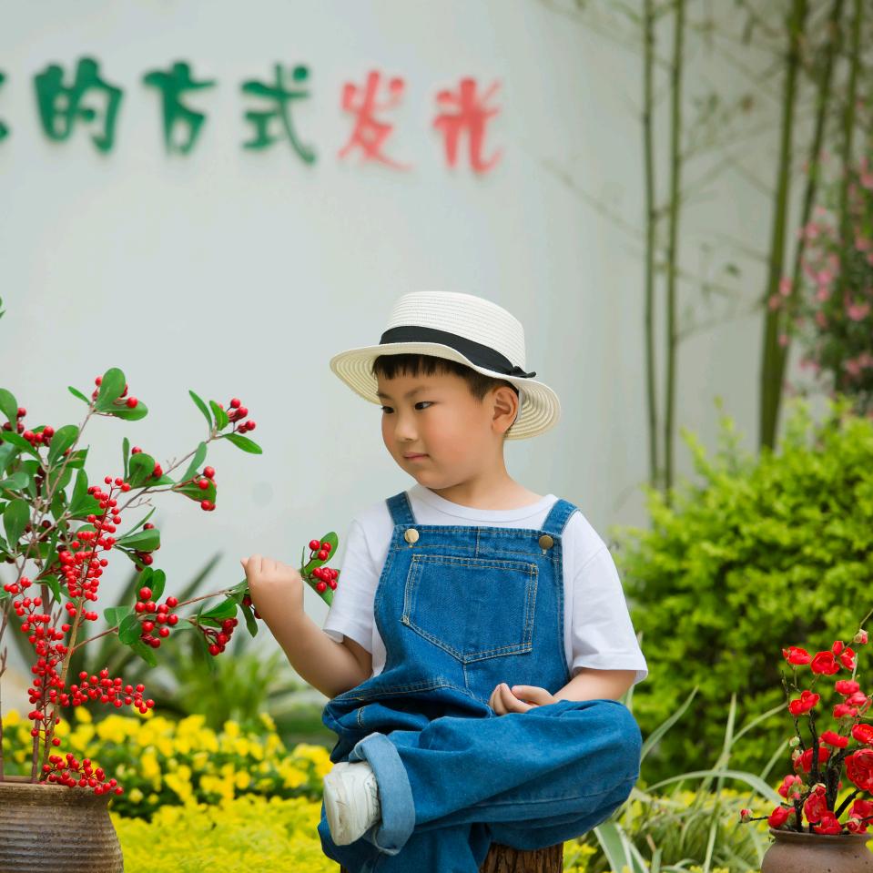 肥东六哥(专业贴砖)3075580681