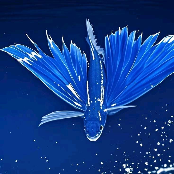不念过往