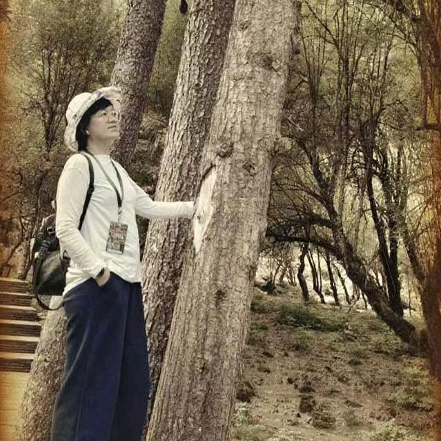 扬帆起航