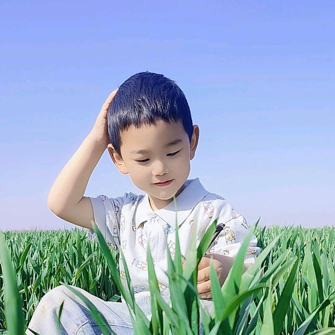 魅力伊人