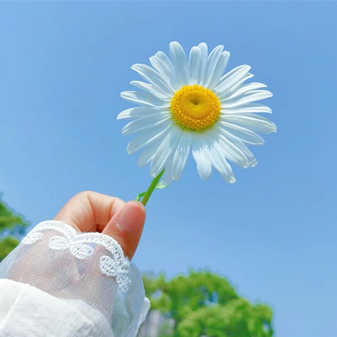 财源纸业批发元宝(代烧)