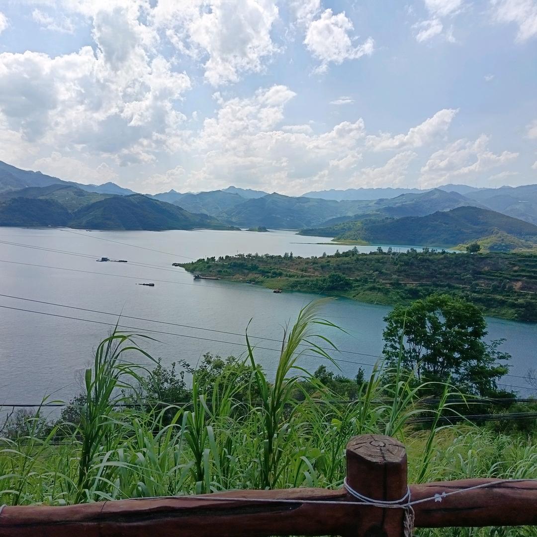 简单点