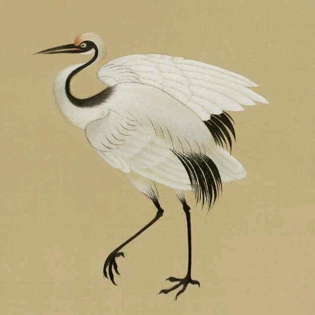 福见