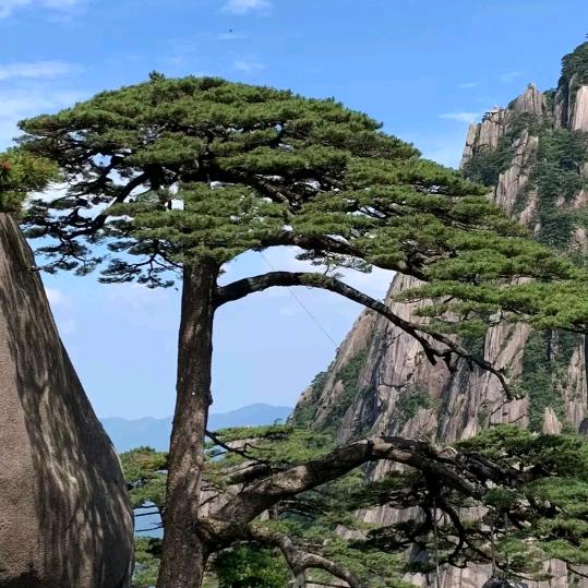 *^_^*恩@施#张@二@哥★★♥