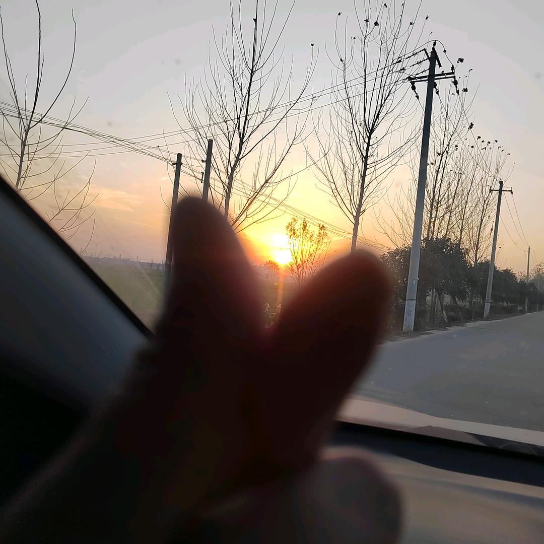 高冷的高