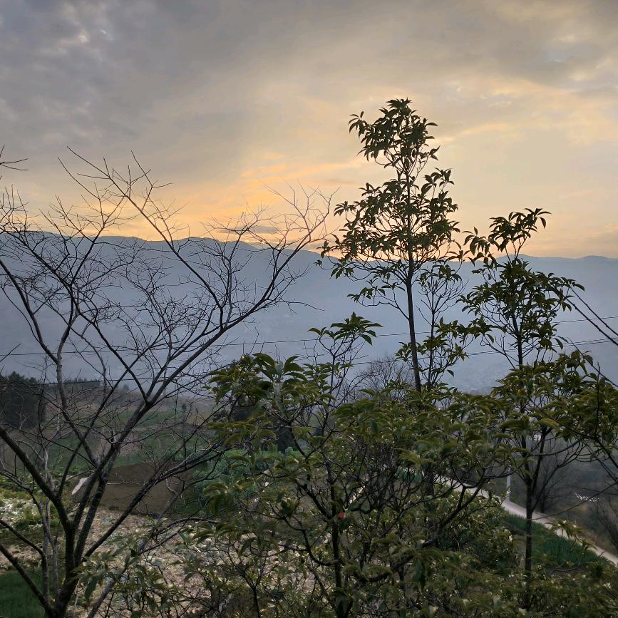 谁才是彭于晏啊