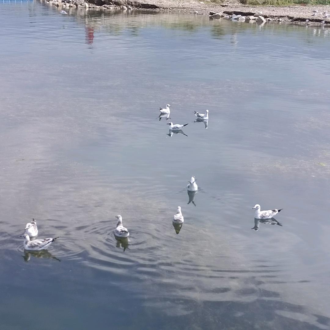 娄，风生水起