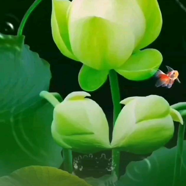 努力奋斗才有希望