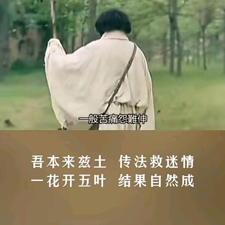 卍金刚菩提正安卍