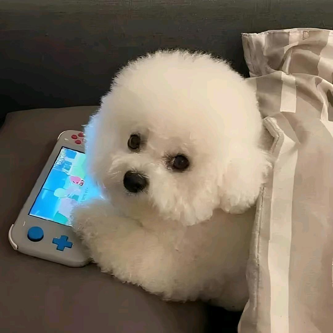 DP不说话_伴奏版