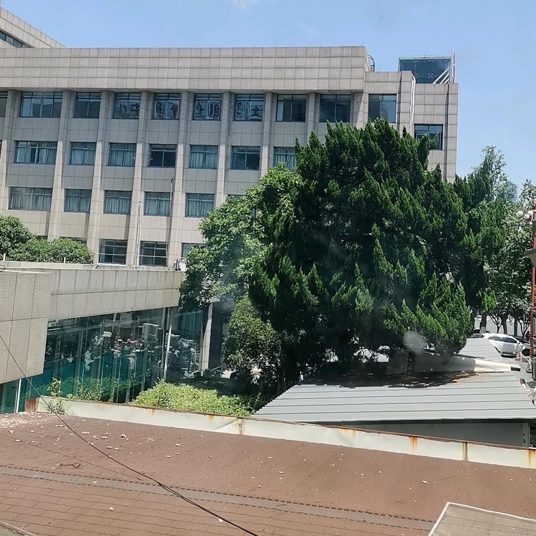 @琴宝&