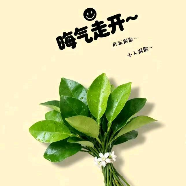 @幸福萍安