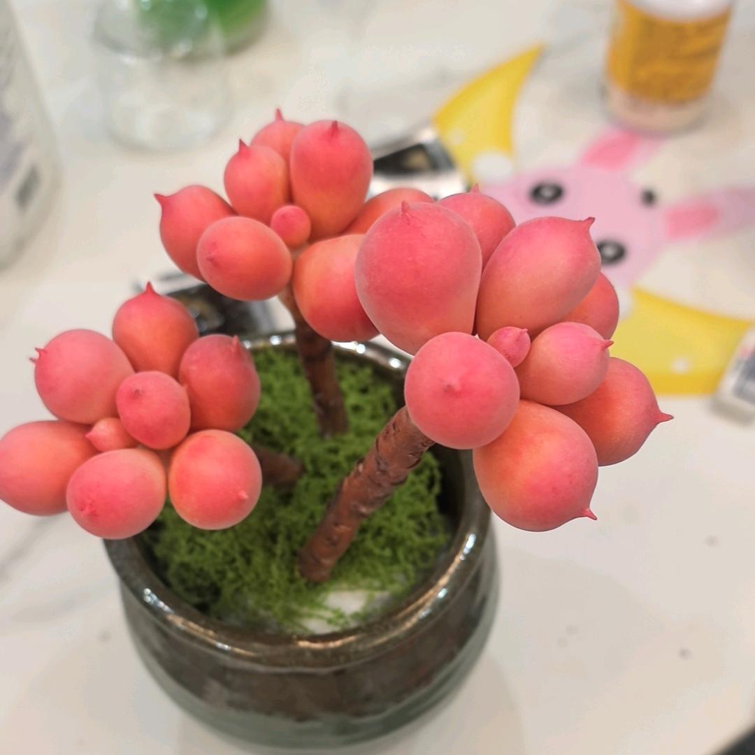 相约花坊手工