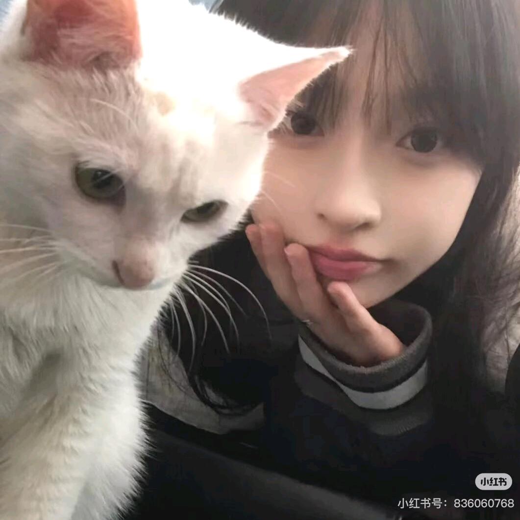 时雨澎万物