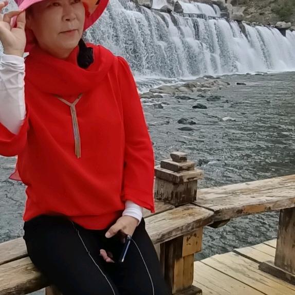春天的梅
