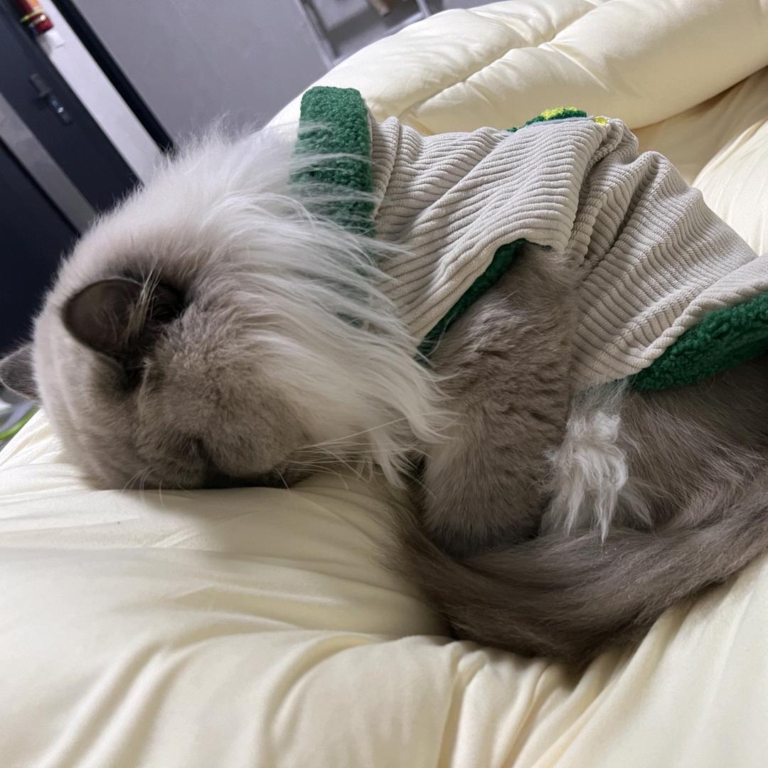 老铁蒙奇奇