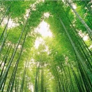 锦上添花໌້ᮨ