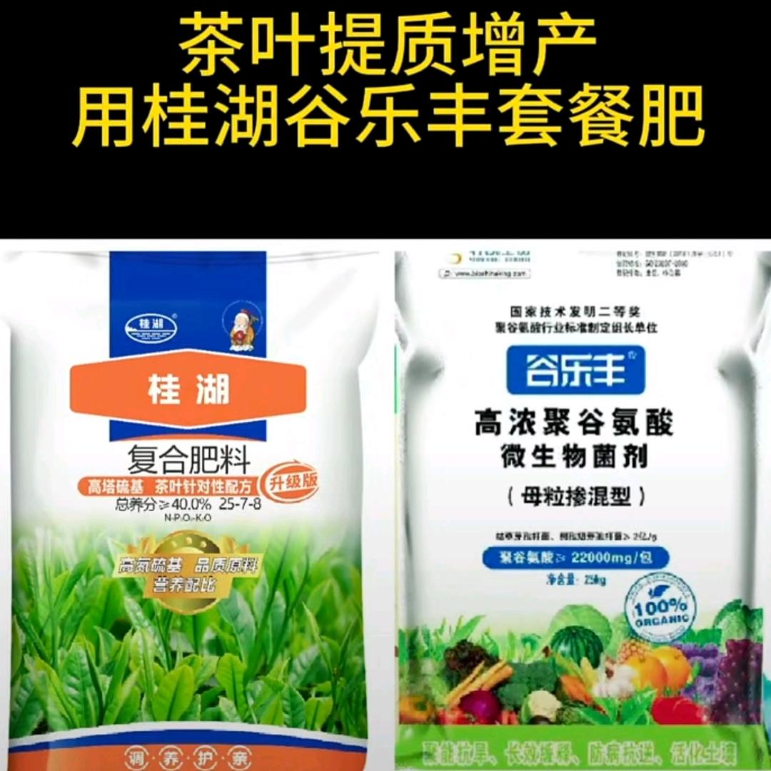 谷乐丰