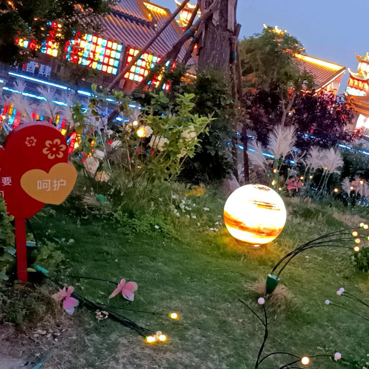 花与时光