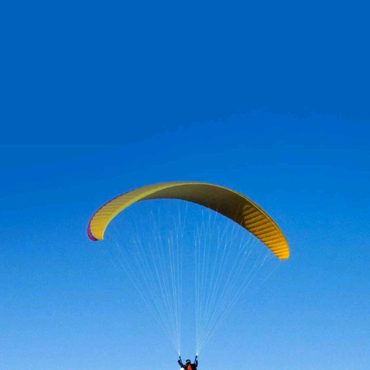 @抖音看见音乐计划