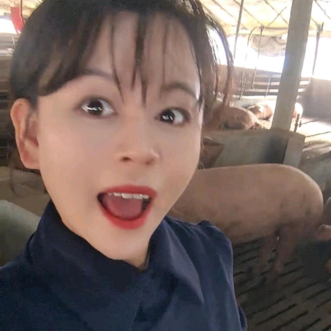 猪猪女王 王二妮小号