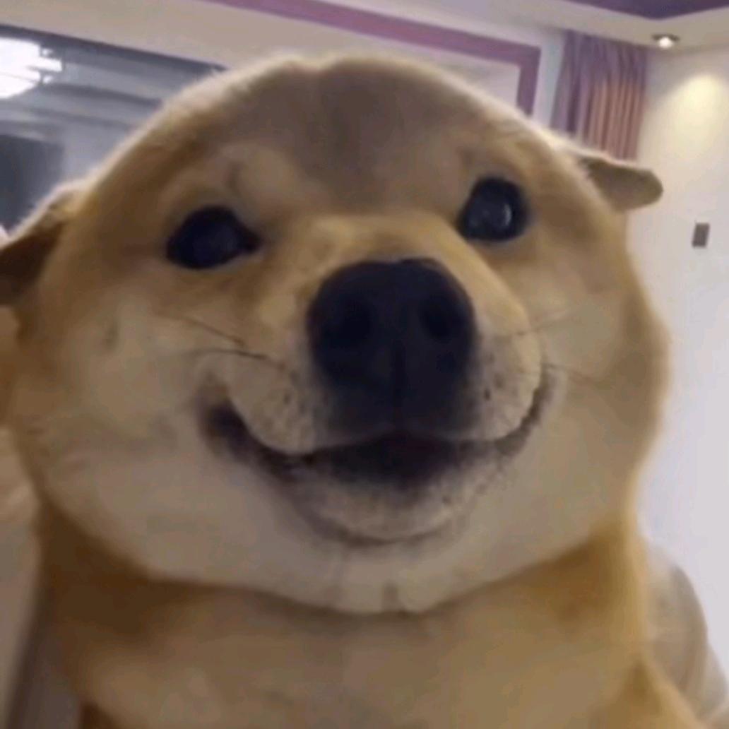 大狗熊【和平精英】