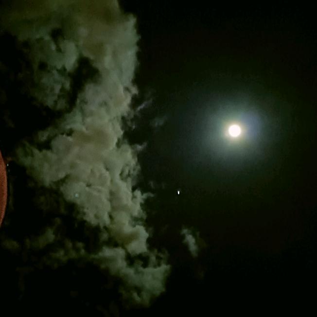 驾考理论培训陈教练