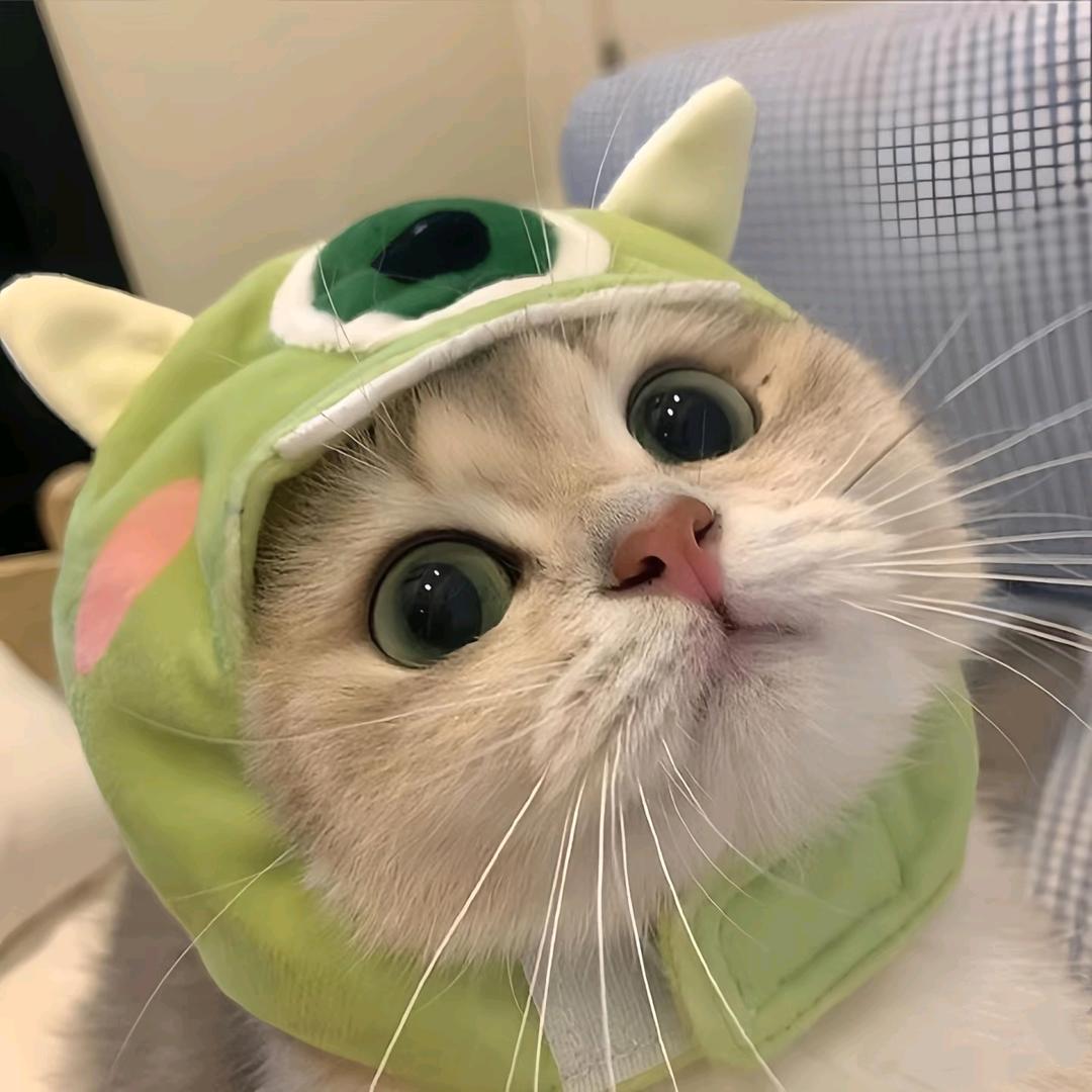榴莲忘返