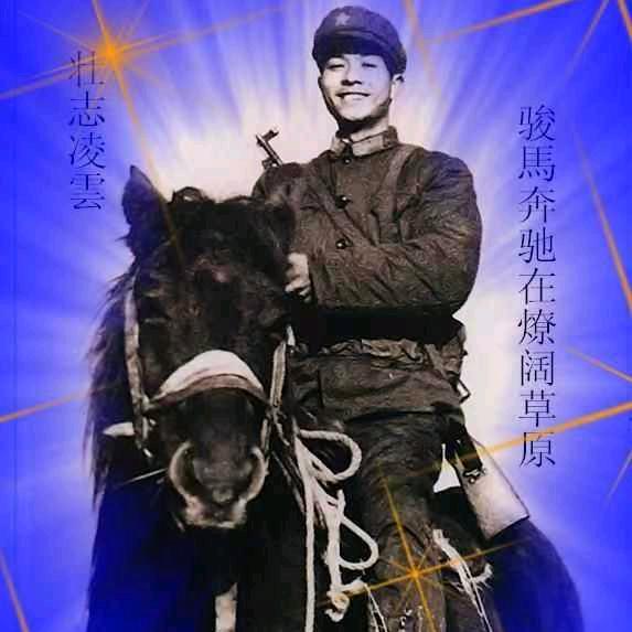 远方有诗