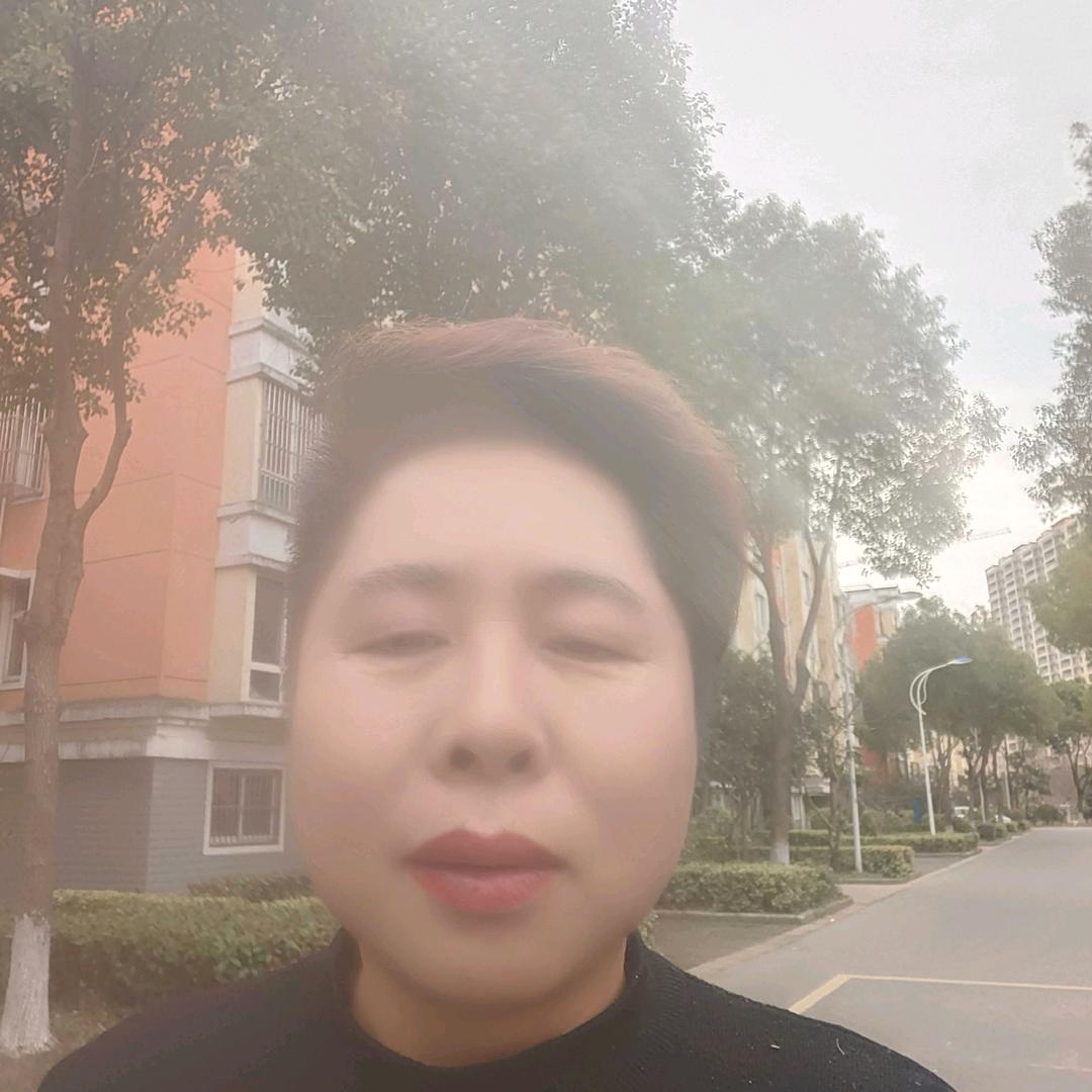 许应梅