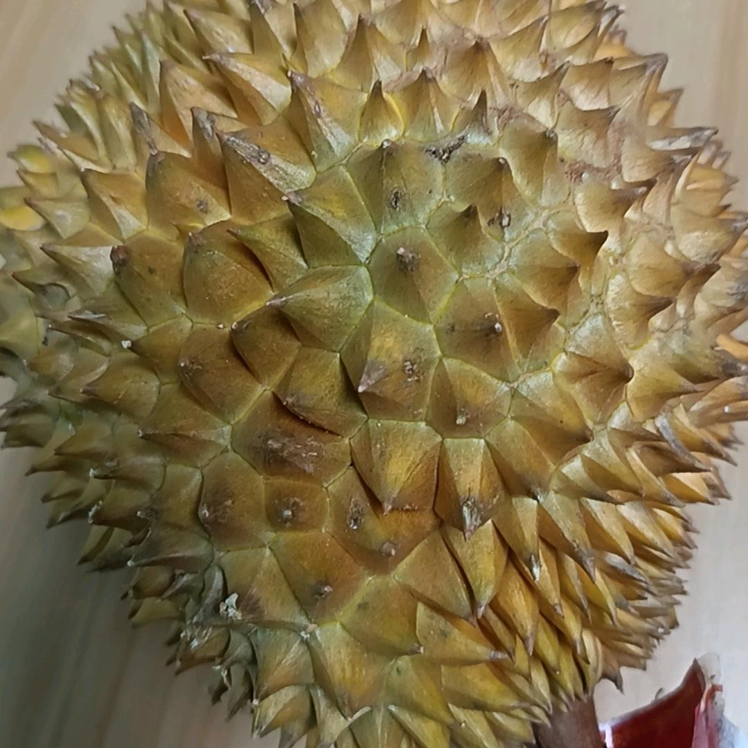 晨曦
