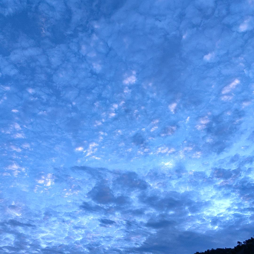 清—风