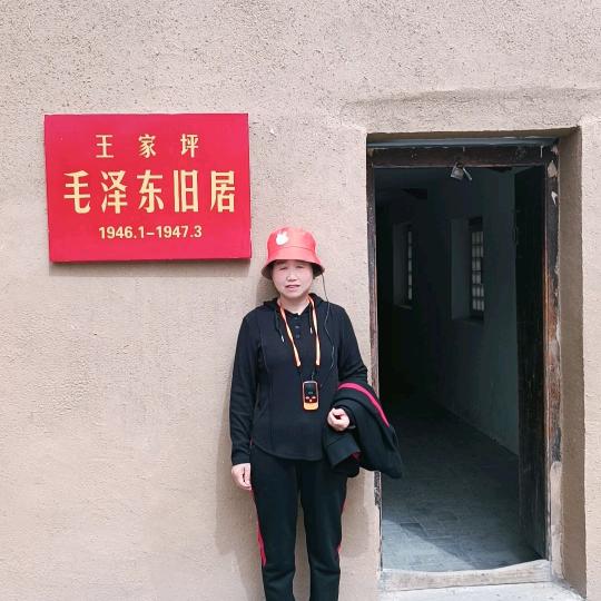 老代阿姨🐯