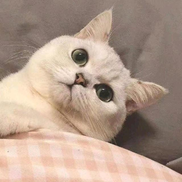 自助者天助