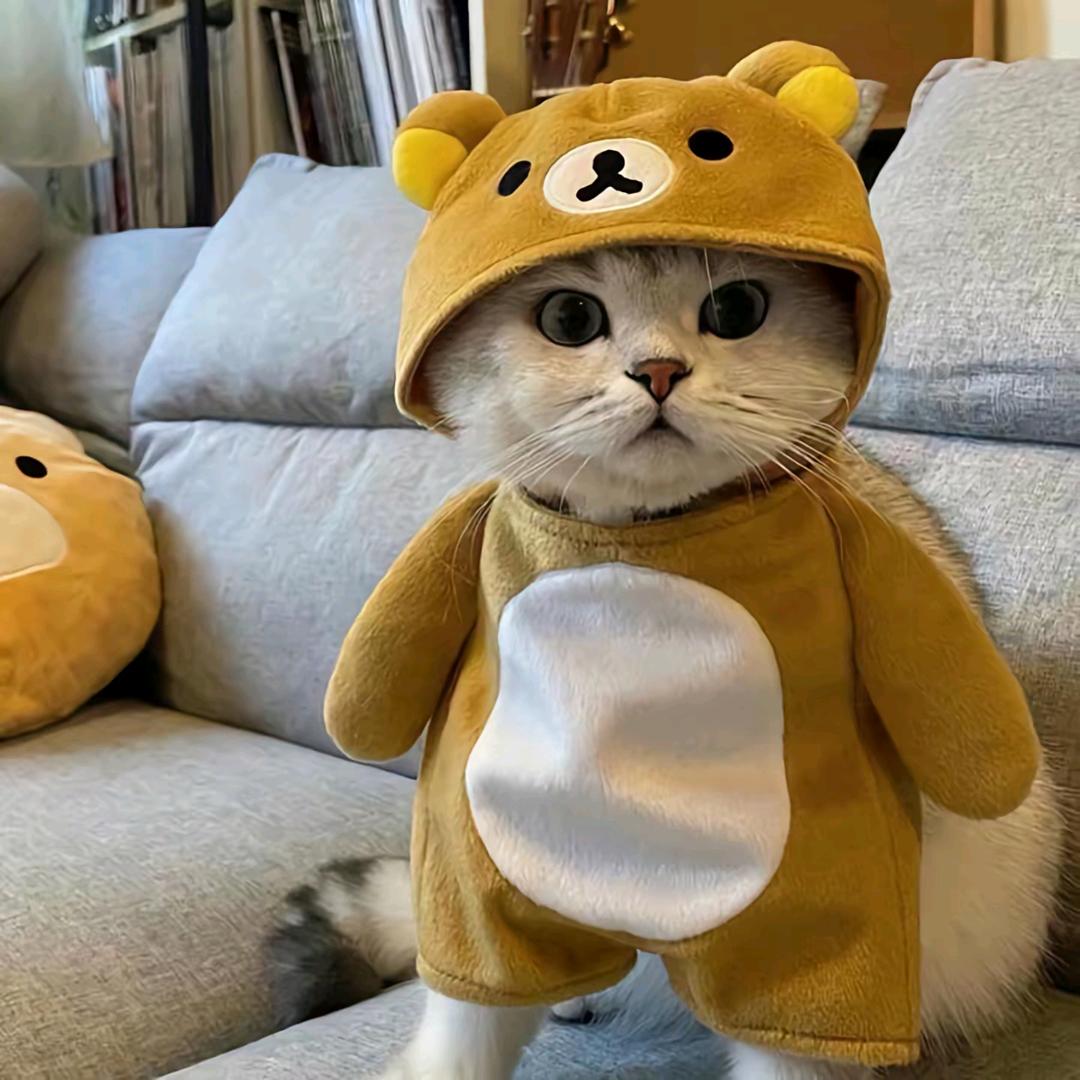 廖泽蓝