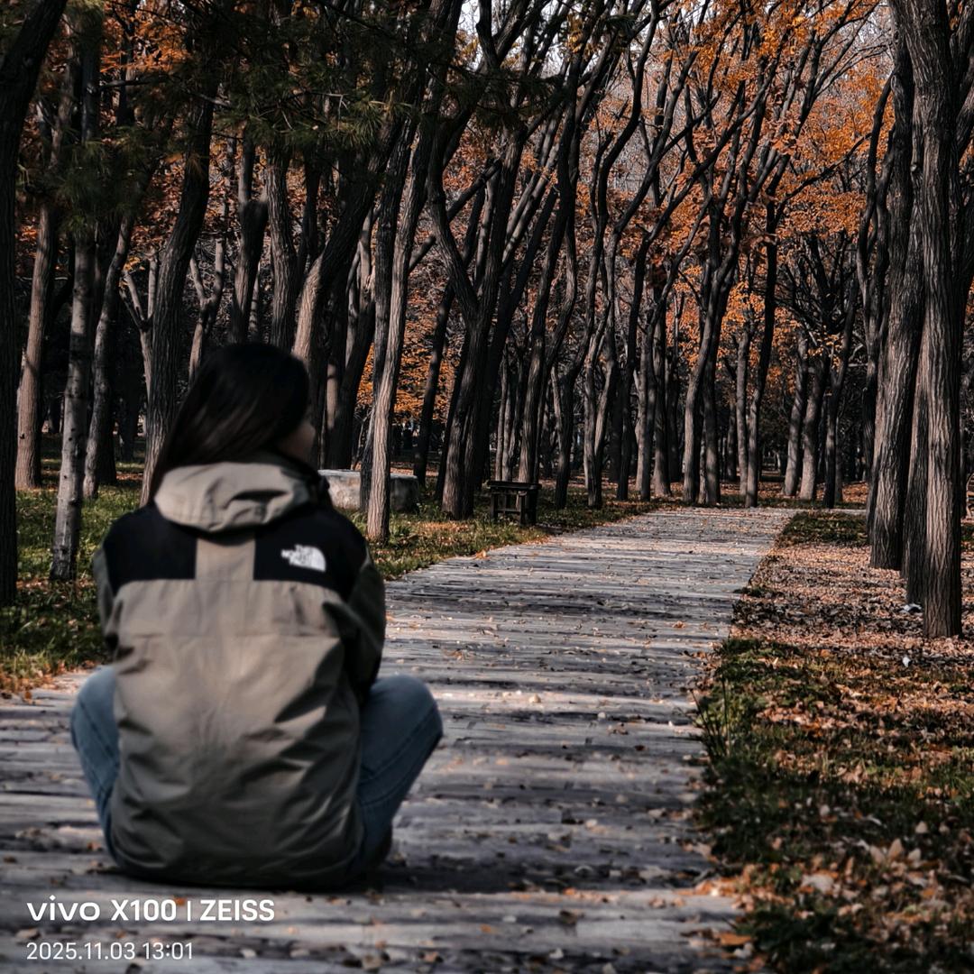 🍭 胖德.圆不隆冬