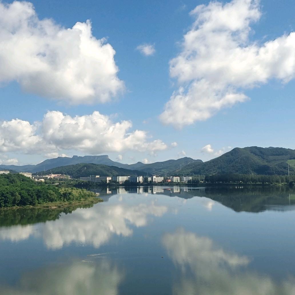 卜先生（辽宁）